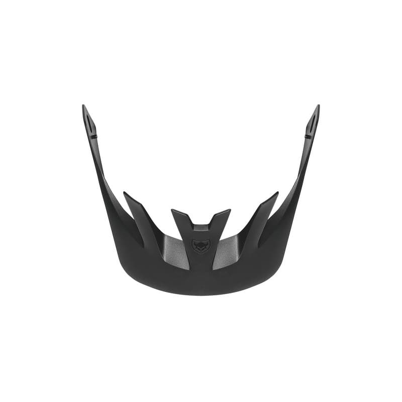 Kšilt náhradní TSG Scope visor black